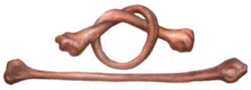 0602bd41-7e52-359x129.png