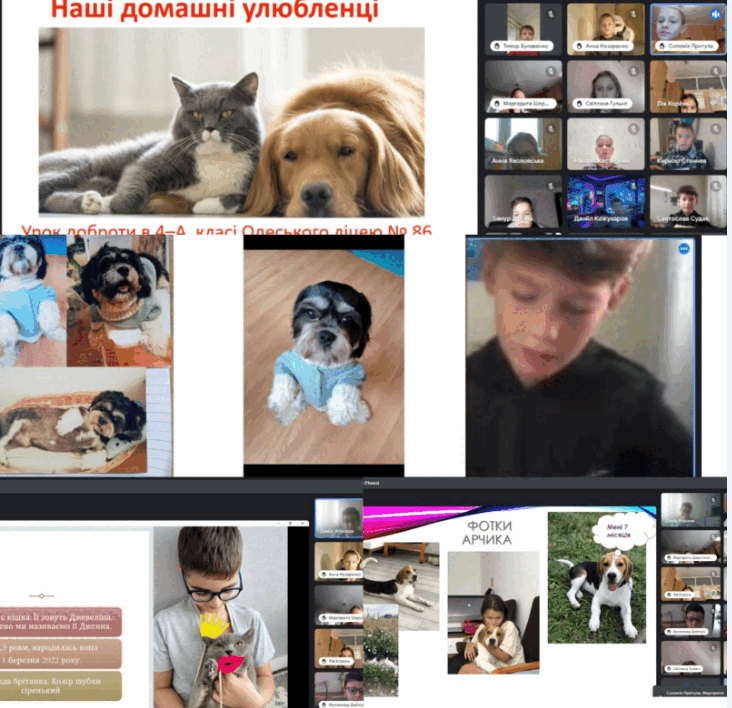 0602be3k-e8e9-732x708.png