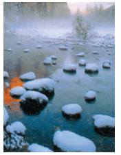 0602becg-1683-270x349.png