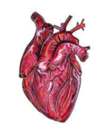 0602bg5l-3cd5-114x156.png