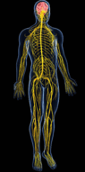 0602bg8y-0799-95x191.png