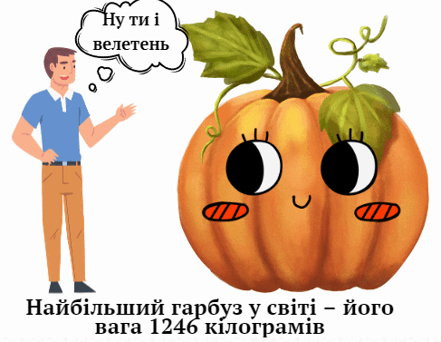 0602bi1x-cec4-487x377.png