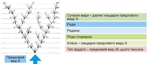 0602bie2-be17-520x225.jpg