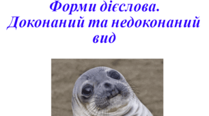 Форми дієслова, вид дієслова