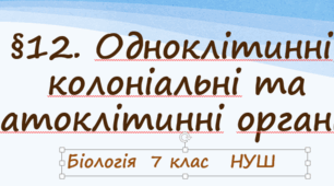 Презентація   «Одноклітинні, колоніальні та багатоклітинні організми»  7клас   НУШ