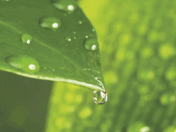 0602bjip-3728-388x292.png