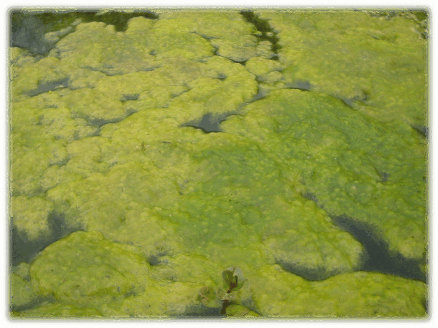 0602bks0-d9fb-880x660.png
