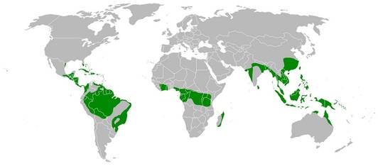 0602bl4w-1584-532x234.jpg