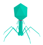 0602blfu-c432-148x156.png