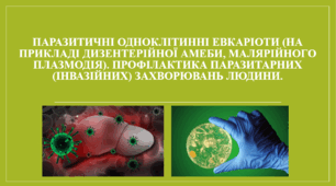 Презентація "Паразитичні одноклітинні евкаріоти (на прикладі дизентерійної амеби, малярійного плазмодія). Профілактика паразитарних (інвазійних) захворювань людини."