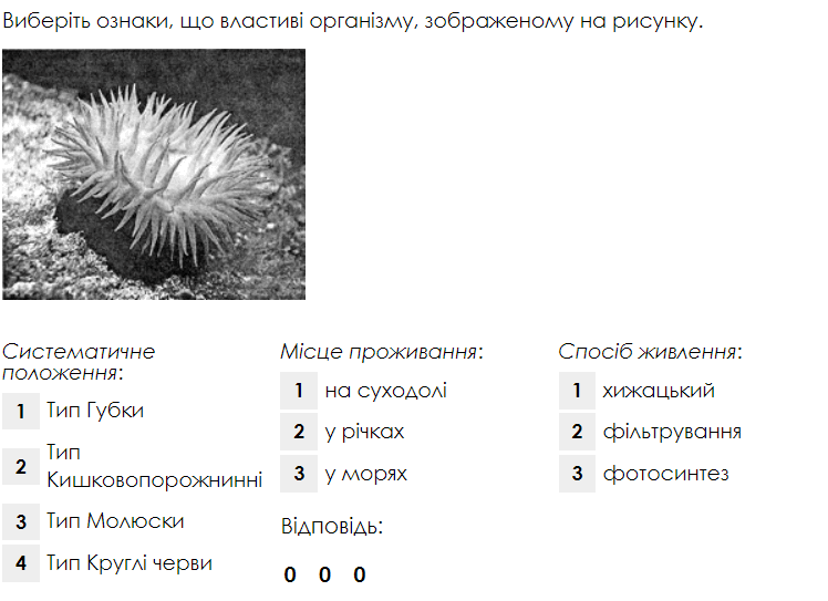0602blzk-3609-748x543.png