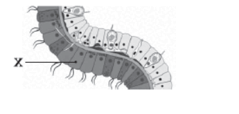 0602blzx-e6ce-345x165.png