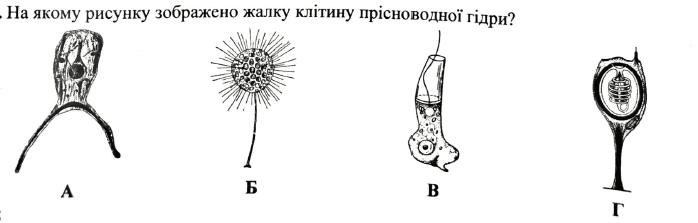 0602bm0c-b7f0-698x223.png
