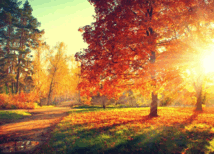 0602bm89-5d3b-214x154.png
