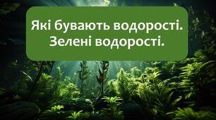 §13 Які бувають водорості. Зелені водорості