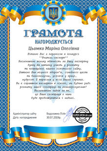  Грамота за перемогу в конкурсі "Вчитель-експерт"