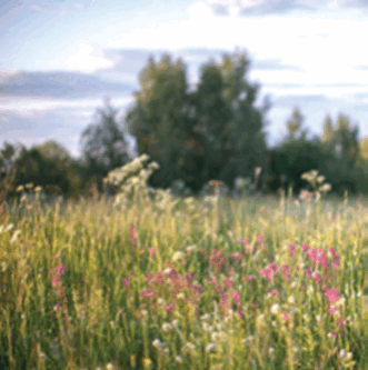 0602bszn-19d7-331x333.png