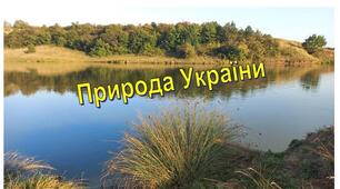 Діагностувальна робота з предмету "Я досліджую світ".  Тема "Природа України"