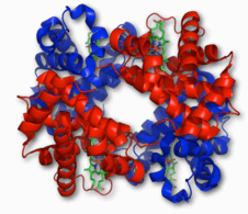 0602buz0-5e65-226x195.png