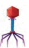 0602bv2v-5d5c-29x48.png