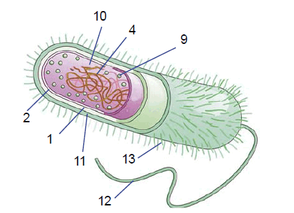 0602bvp1-ac6c-428x310.png