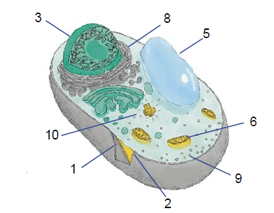 0602bvp6-8309-396x307.png