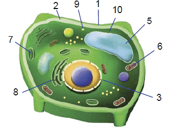 0602bvpg-5f2a-346x261.png