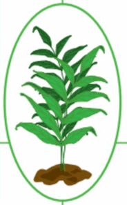 0602bwmu-2537-184x297.png