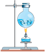 0602bxhw-1546-153x173.png