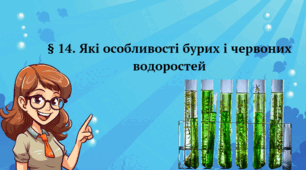 ЯКІ ОСОБЛИВОСТІ БУРИХ І ЧЕРВОНИХ ВОДОРОСТЕЙ