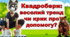 Матеріал для Батьківських зборів на тему "Квадробери"
