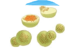 0602byoo-e76d-223x158.png