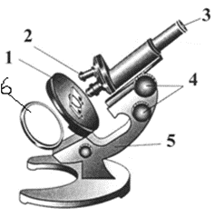 0602bypu-e13a-247x240.png