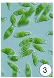 0602byti-9863-112x161.png