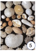 0602bytk-e44c-116x166.png