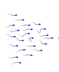 0602c018-8e52-200x242.png