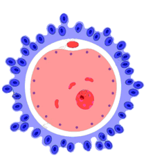 0602c02f-9c1d-211x242.png