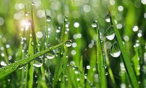 0602c24m-993c-300x182.jpg