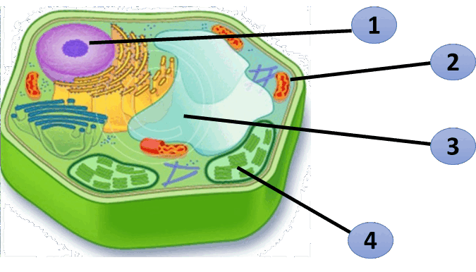 0602c3fe-44b4-675x386.png