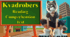 Kvadrobers- a new subculture. Reading comprehension test