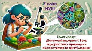 Презентація з біології для учнів 7 класу НУШ. Тема уроку: Діатомові водорості. Роль водоростей у природних екосистемах та житті людини