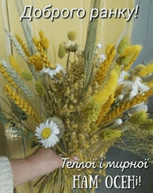0602caj5-c06b-223x281.png