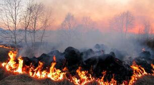 Презентація "Джерела та чинники небезпек" 7 кл