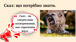 Безпритульні тварини. Сказ