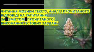 Презентація