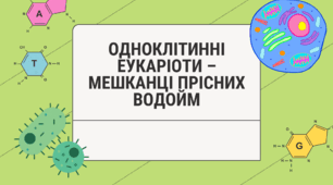 Одноклітинні еукаріоти – мешканці прісних водойм. Біологія 7 клас НУШ