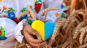 Методичний матеріал. Стаття  “Розвиток інформаційної компетентності вчителя як основа формування критичного мислення учнів на уроках української мови та літератури”