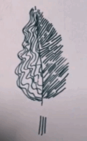 0602cm07-4a77-124x201.png
