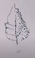0602cm16-1162-141x235.png