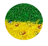 0602cn1q-5a1e-158x154.png